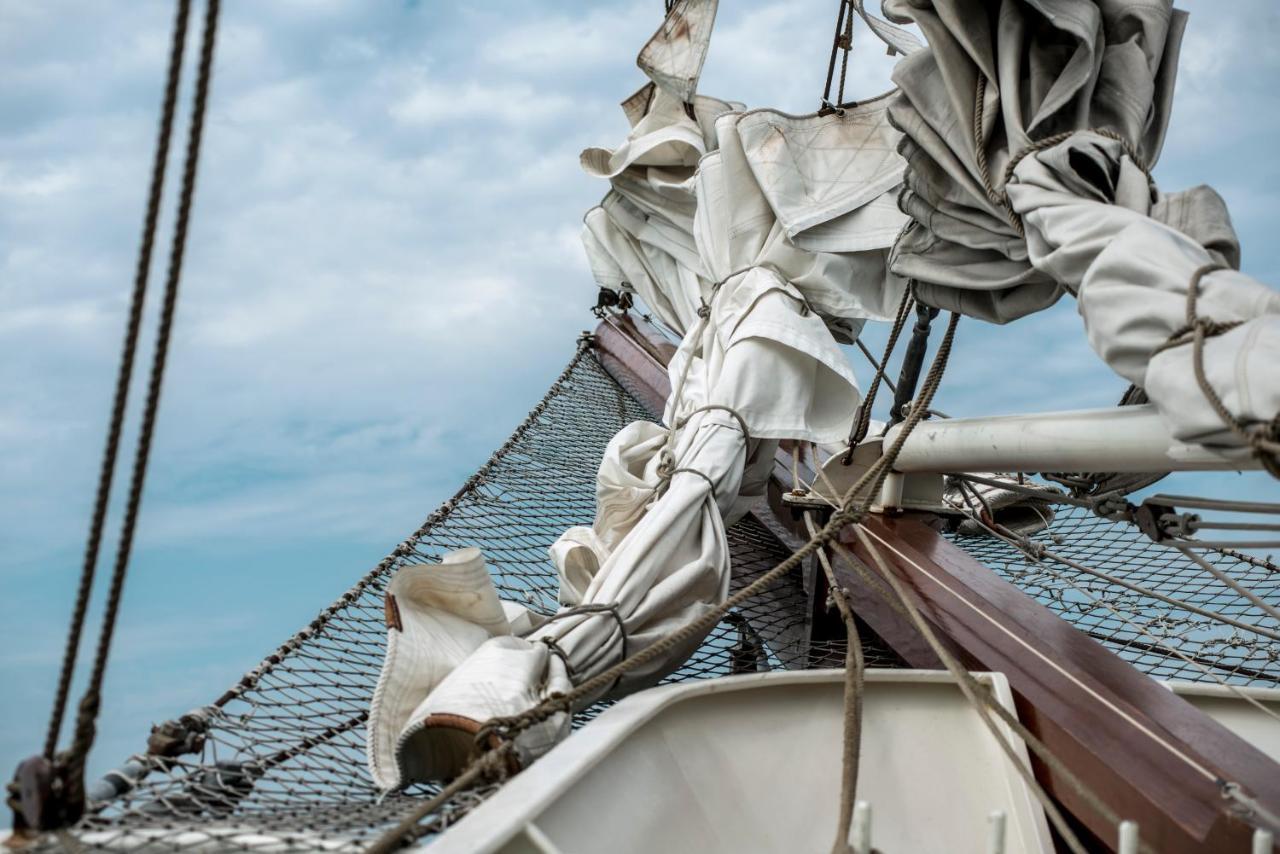 Hotel Tallship Artemis